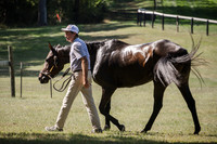 Photos between 3&4th races at the barn
