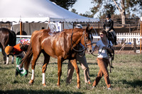 Race 8-Training Flat