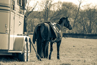 Piedmont-Kennels-03.18.23