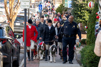 DOG Christmas in Middleburg 2025