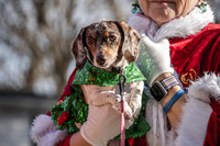 Middleburg DOG parade 2025