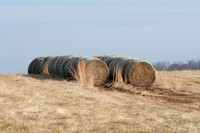 Piedmont-Old Welbourne-12.28.19