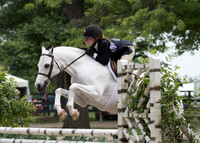 Hunter and Pony Classes