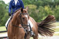 Friday-09.13.19 Dressage Day