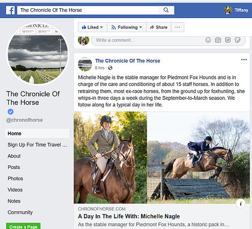 Chronicle Of The Horse- Online Story Photos