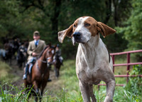 Piedmont-Kennels-10.13.18