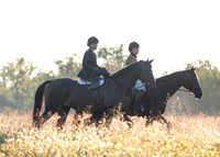 Piedmont-Trappe-10.06.20