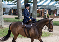 Side Saddle