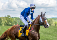 VA GOLD CUP 2019