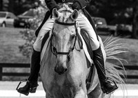 08.22.19 DAY 1 (Thursday) Dressage