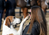 Piedmont-Kennels-01.27.18