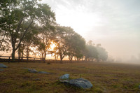 Piedmont-Fiddler's Green-09.09.23