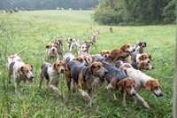 Piedmont-Gap Run-09.16.21