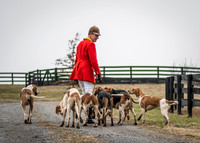 Piedmont-Kennels-01.12.19