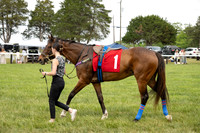 Race 4-Daniel Van Clief Mem Sport of Kings Novice Hurdle Stakes