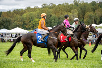 Race 5-Ratings Handicap Hurdle