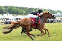 Race 6-Maiden Claiming Hurdle