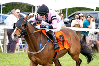 Race 5-Ratings Handicap Hurdle