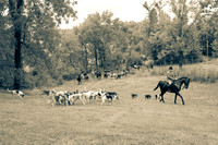 Loudoun Fairfax-Kennels-09.25.23