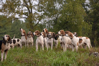 Piedmont-Kinross FF-09.28.23