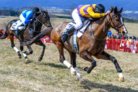 Piedmont Point to Point-03.24.18