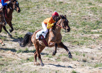 Pony Races