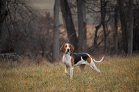 Piedmont-Blue Ridge-12.26.23